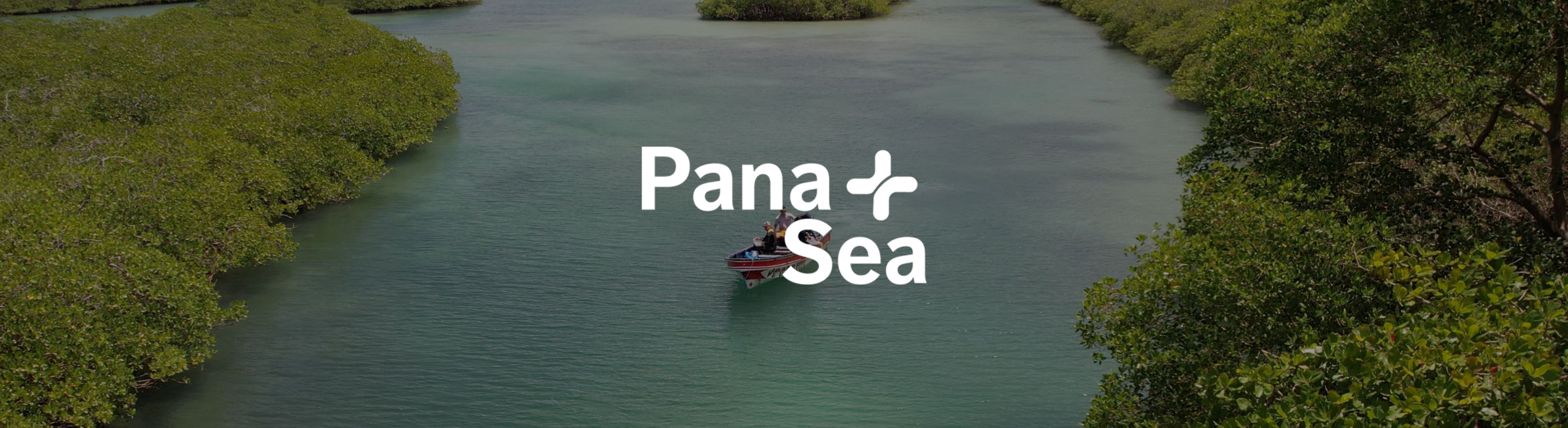 The Mangrove Project thumbnail thumbnail